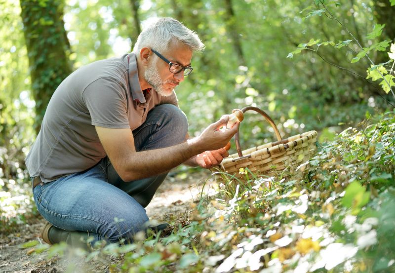 Mann beim Pilze sammeln im Wald