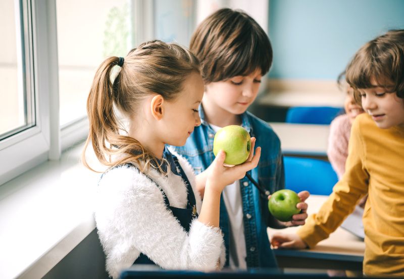 Schüler:innen in der Pause essen Äpfel