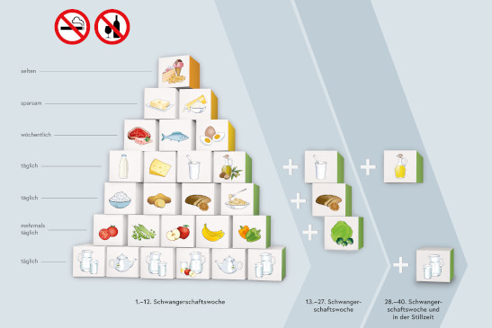 Ernährungspyramide für Schwangere und Stillende