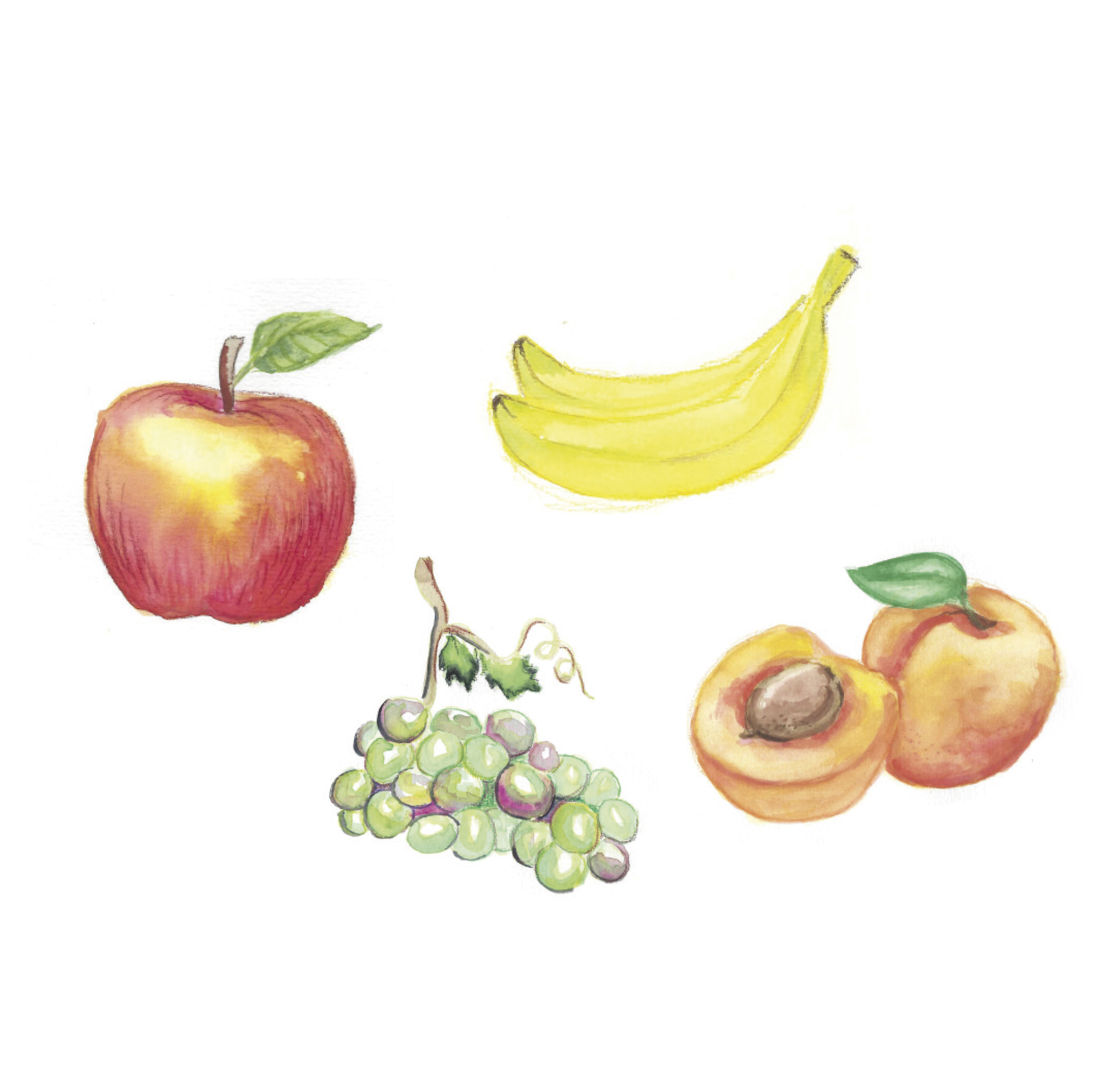 Grafik Ernährung: Obst