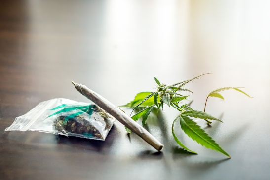 Cannabis | Gesundheitsportal
