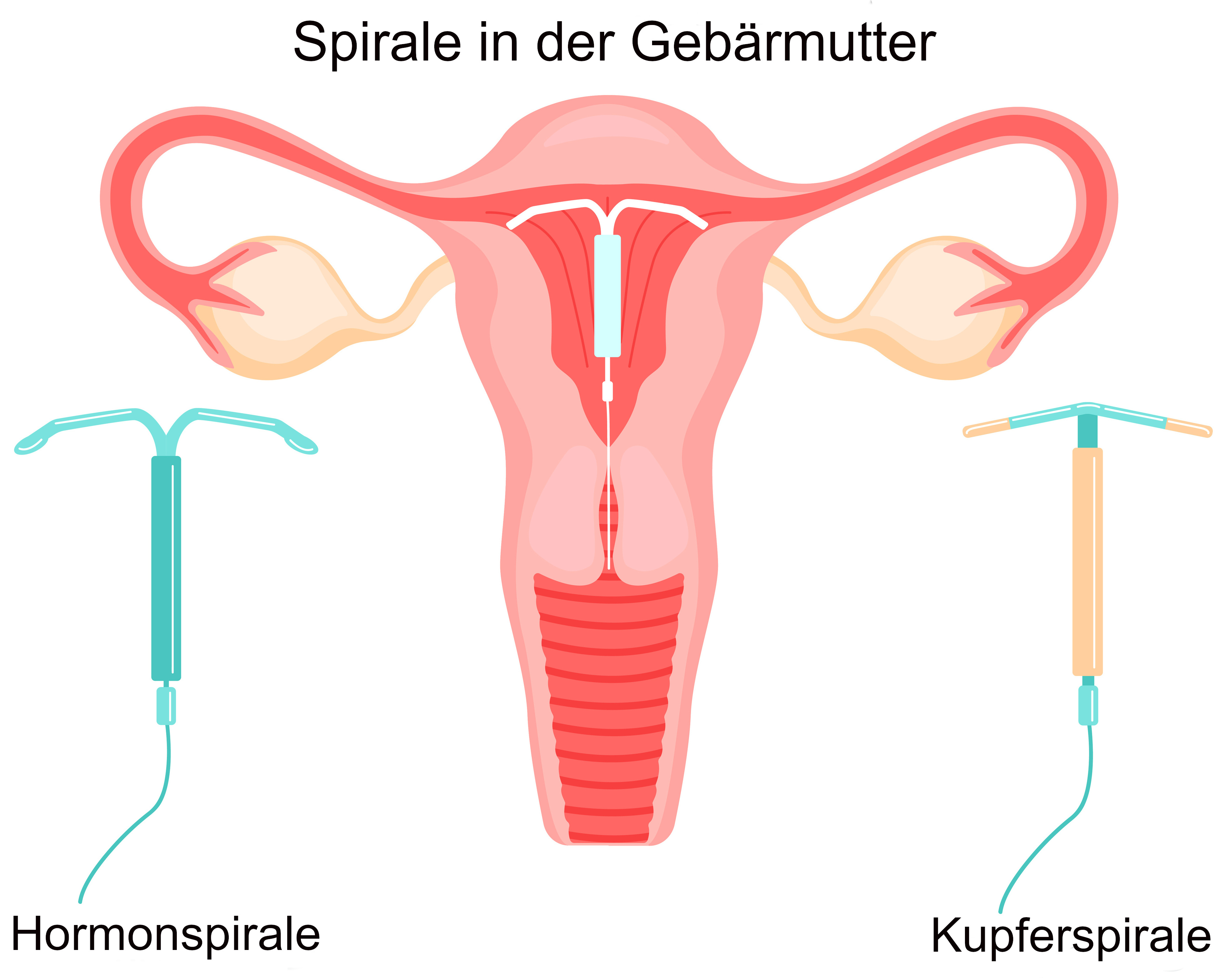 Grafik Spirale